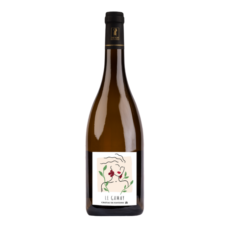 Fles Domaine de Fontenay Le Gamay, rode wijn uit Loire, Frankrijk